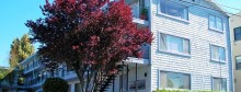 Arranged Non-Recourse, 10-Year Interest-Only Financing for Oakland Multifamily